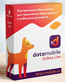 DataMobile, версия Online Lite - LifeTime