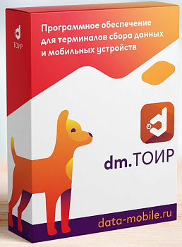 DM.Основные средства: ТОИР - LifeTime