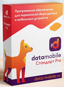 DataMobile, версия Стандарт Pro - LifeTime