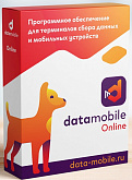 DataMobile, версия Online - LifeTime